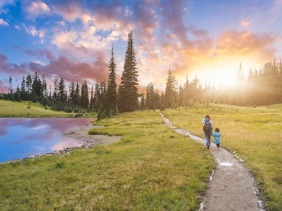 iStock-493248366